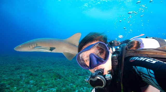 Scuba diver taking a close-up selfie with a reef shark gliding past in clear blue water during a Brazil adventure dive