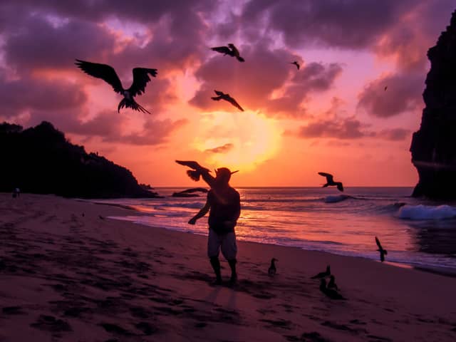 Silhouette of a person on a sandy beach surrounded by seabirds in flight during a vivid purple and orange sunset in Brazil