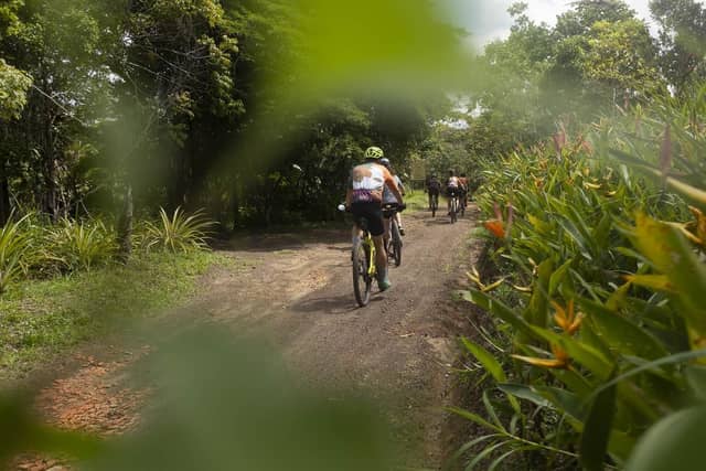 A group of cyclists on mountain bikes pedaling along a narrow dirt trail flanked by lush tropical vegetation on a brazil group tours excursion