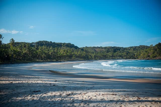 A wide deserted beach on an itacaré tour, with white sand, gentle Atlantic waves, and a dense backdrop of palm trees and Atlantic Forest under a clear blue sky
