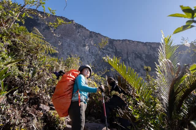 A hiker with a large orange backpack and trekking pole gazes up at the sheer vertical cliffs of Mount Roraima during a mount roraima tour, surrounded by endemic ferns and shrubs under a clear blue sky