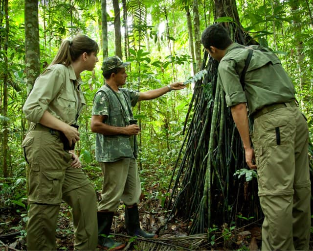 How to Visit the Amazon Rainforest in Brazil – Travel Guide