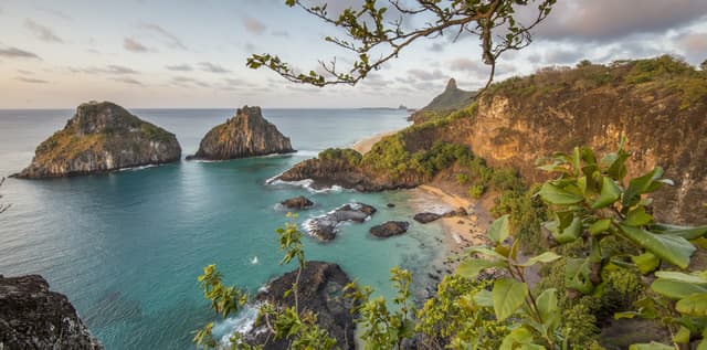 Diving in Fernando de Noronha: 2026 Ultimate Guide