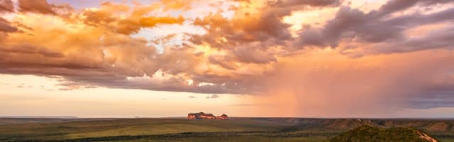 How to visit the Cerrado in Brazil?