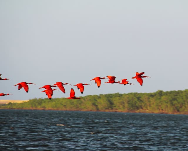 Route of Emotions in Brazil: itinerary, map, and best time to visit in 2026