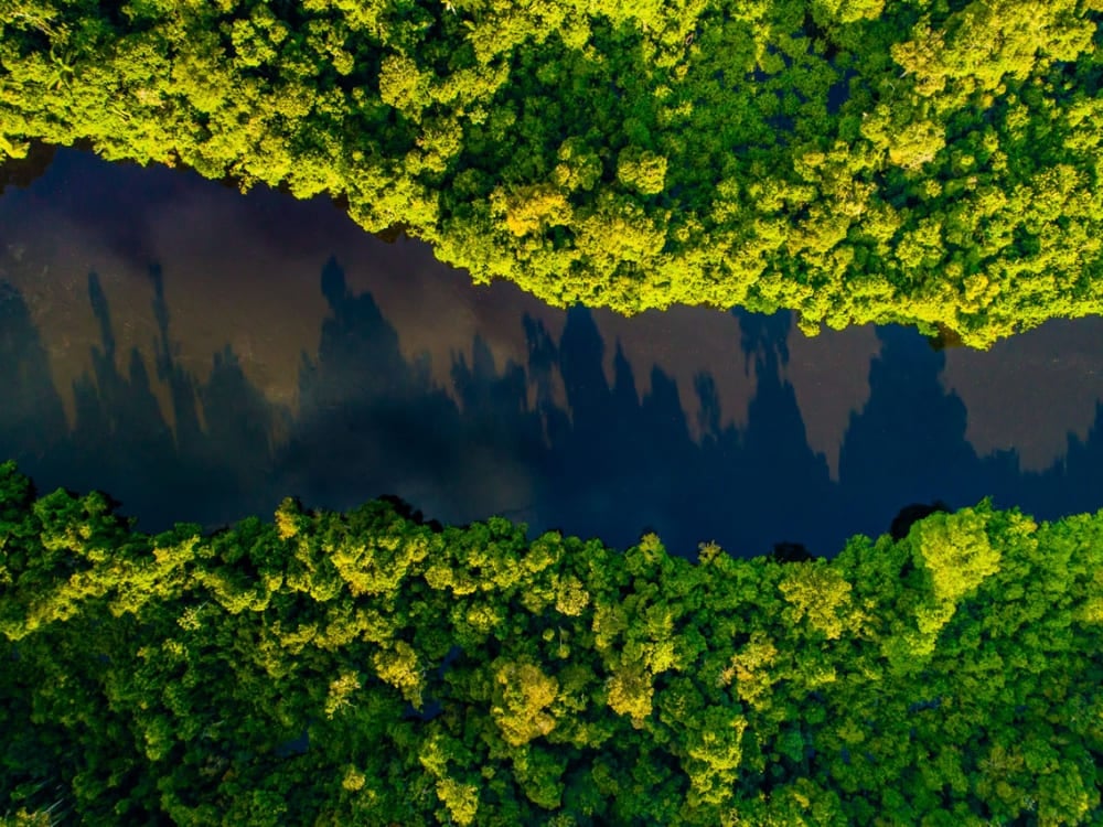 An aerial view shows the dark waters of the Rio Negro cutting through the lush green canopy of the Amazon rainforest.