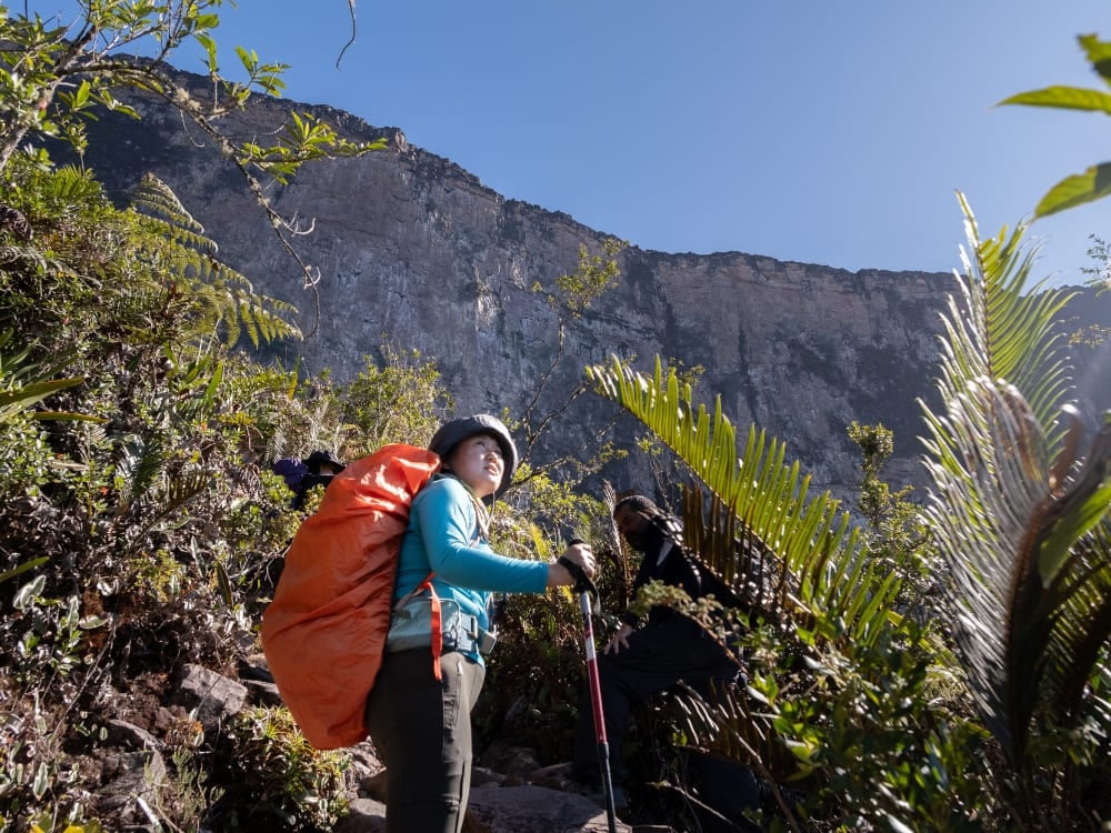 Tips for Mount Roraima