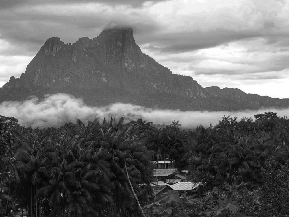 A dramatic view of Pico da Neblina partially obscured by thick, low-hanging clouds rising above the jungle canopy. 