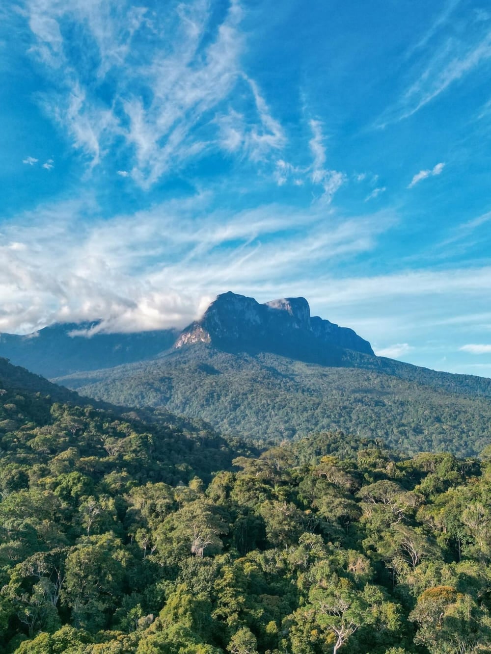 The massive peak of Pico da Neblina rising above an endless green expanse of Amazonian trees under a blue sky. 