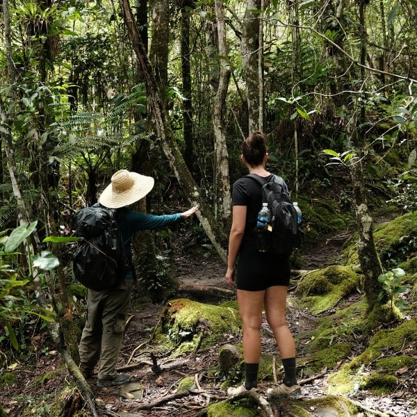 Two hikers with backpacks on a shaded forest trail in Chapada Diamantina, Brazil.