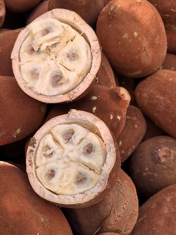 Cupuaçu fruits piled up, two of them cut open to show the white pulp and seeds