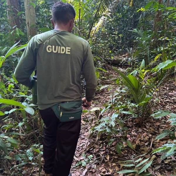 Local guide walking ahead on a rainforest trail in the Brazilian Amazon