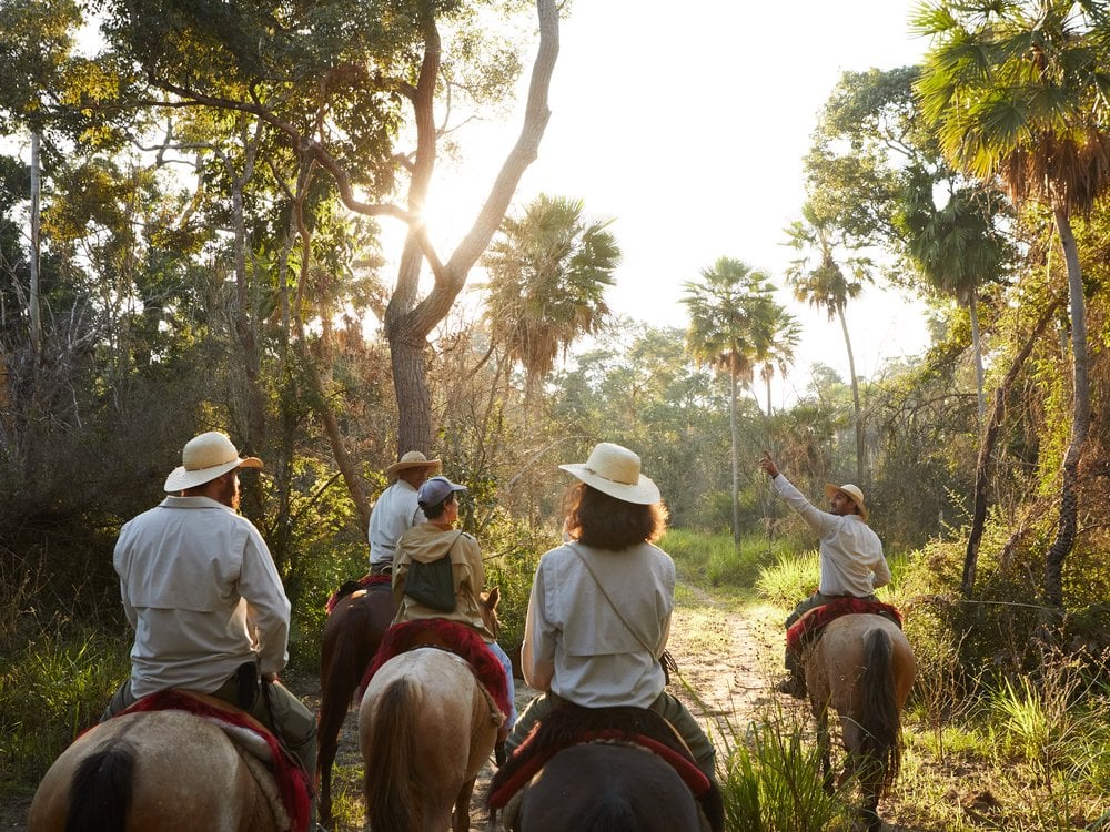 Guests on a slow horseback ride along a forest trail at Caiman, following a guide