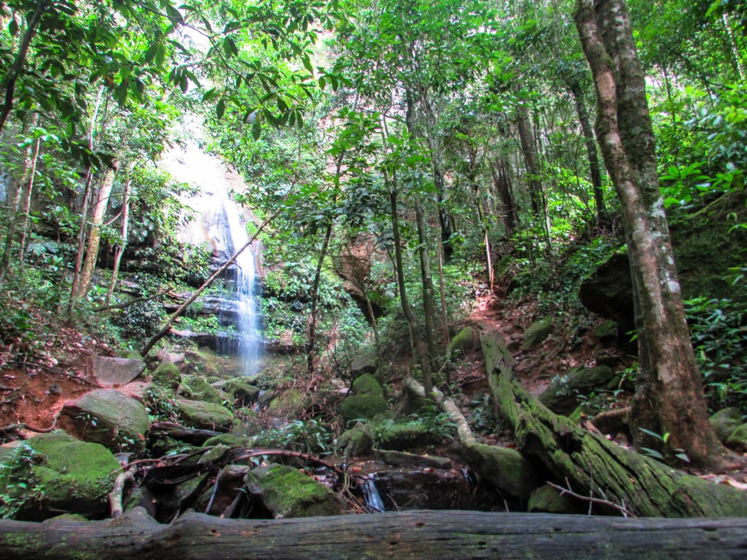 Enjoy the thrill of sliding down natural rock slides and swimming in the refreshing pools of this beautiful waterfall. Photo: @vamostrilhar jalapão state park tours