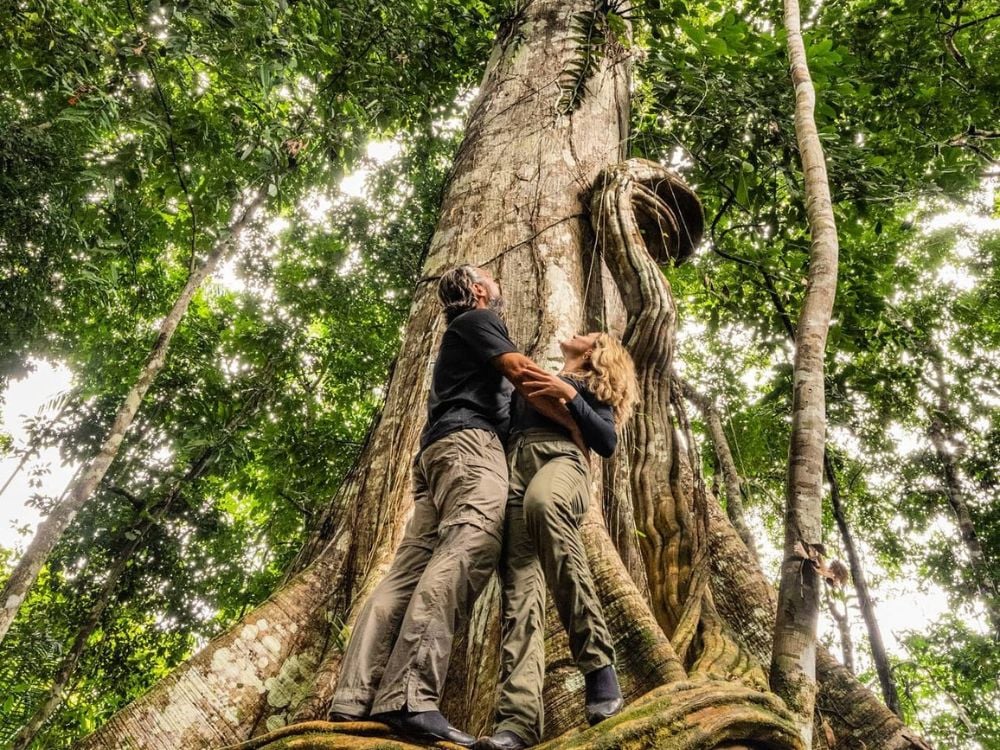 Amazon Rainforest – Photo: MkExpedition @mkexpeditions Amazon - Top 7 Ecotourism Destinations in Brazil to Visit in 2024