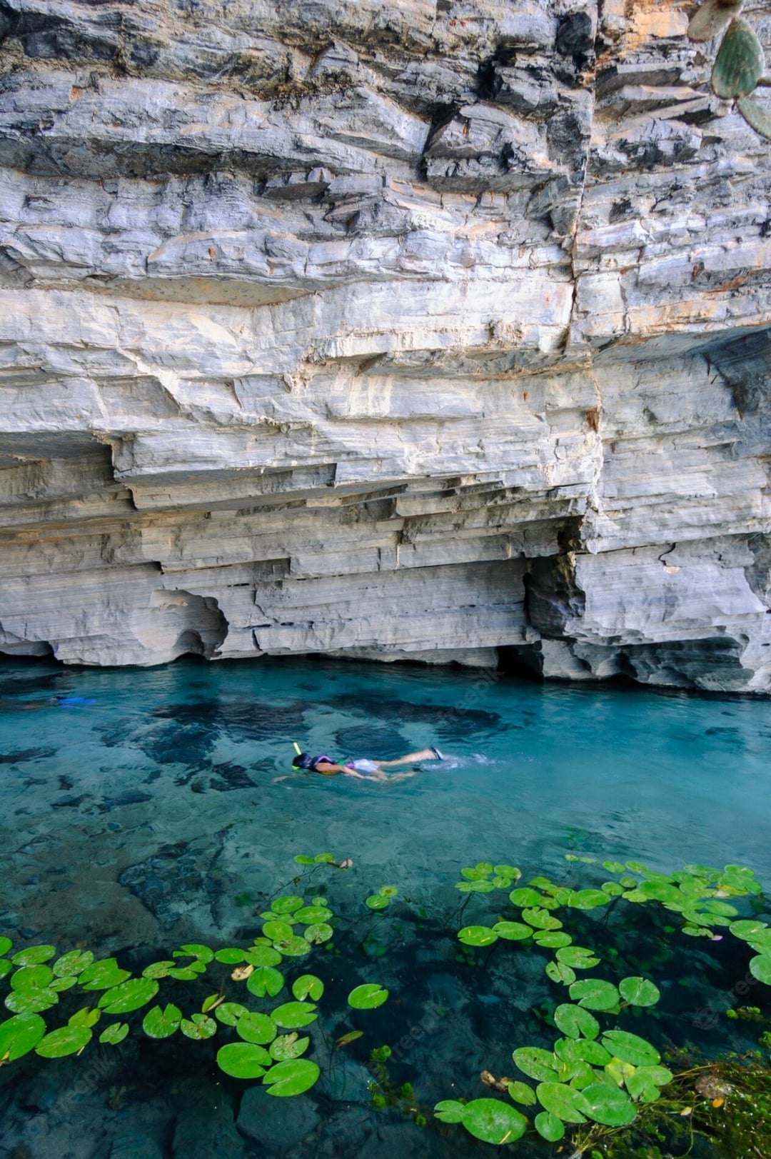 Dive into Pratinha’s crystal waters Lapa Doce Cave and Pratinha - what to do in chapada diamantina