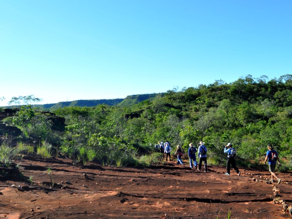 Jalapão’s beauty and thrilling activities make it a must-visit. What to do in Jalapão State Park Brazil?