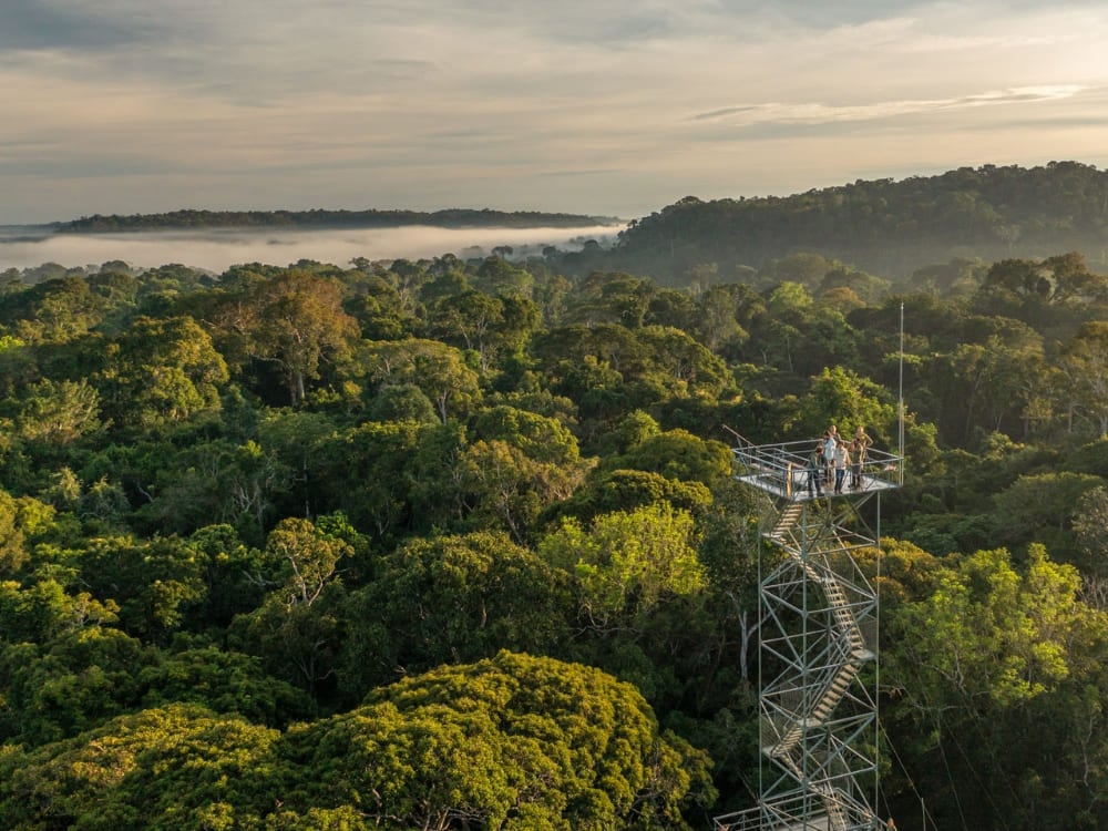 Being atop Cristalino Lodge’s 164-foot towerview is a breathtaking sight. – Photo: Andre Dib Cristalino Jungle Lodge leading ecotourism in the Amazon Rainforest by example