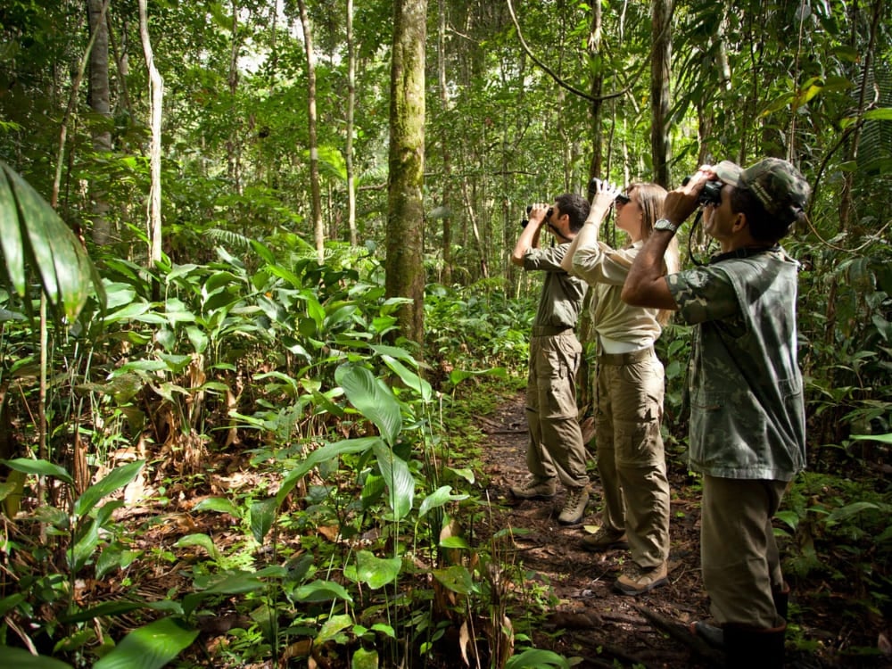 Photo: Samuel Melim Travelers using binoculars to spot wildlife while hiking through the Amazon jungle.
