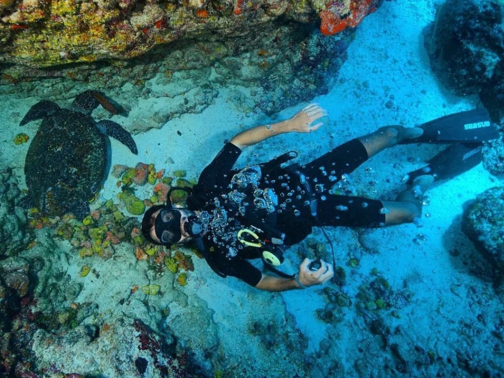 . Fernando de Noronha Diving Guide
