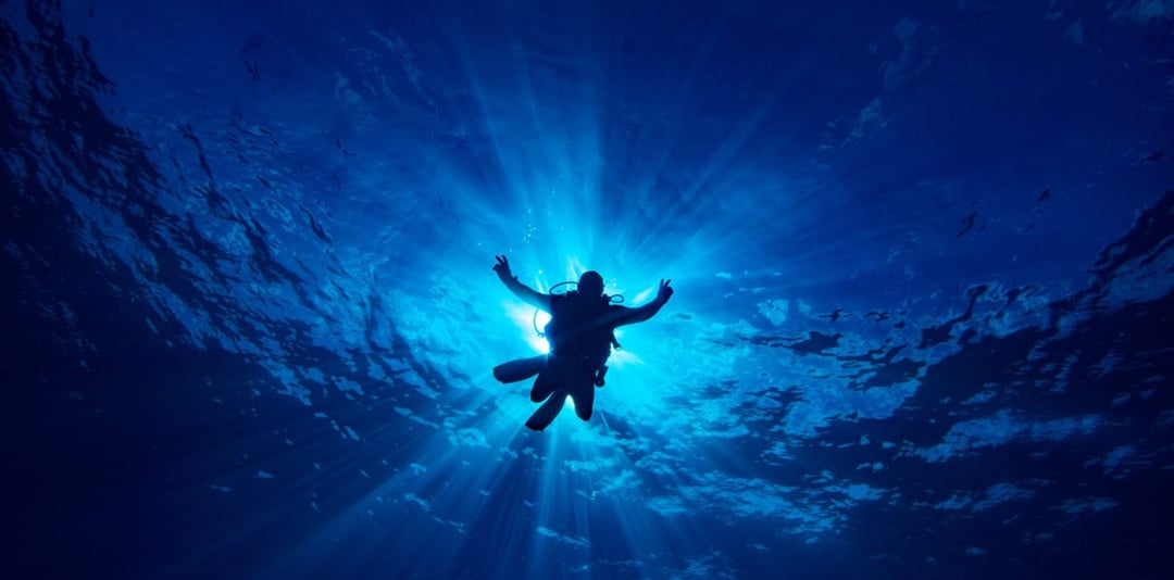 . Scuba Diving Fernando de Noronha