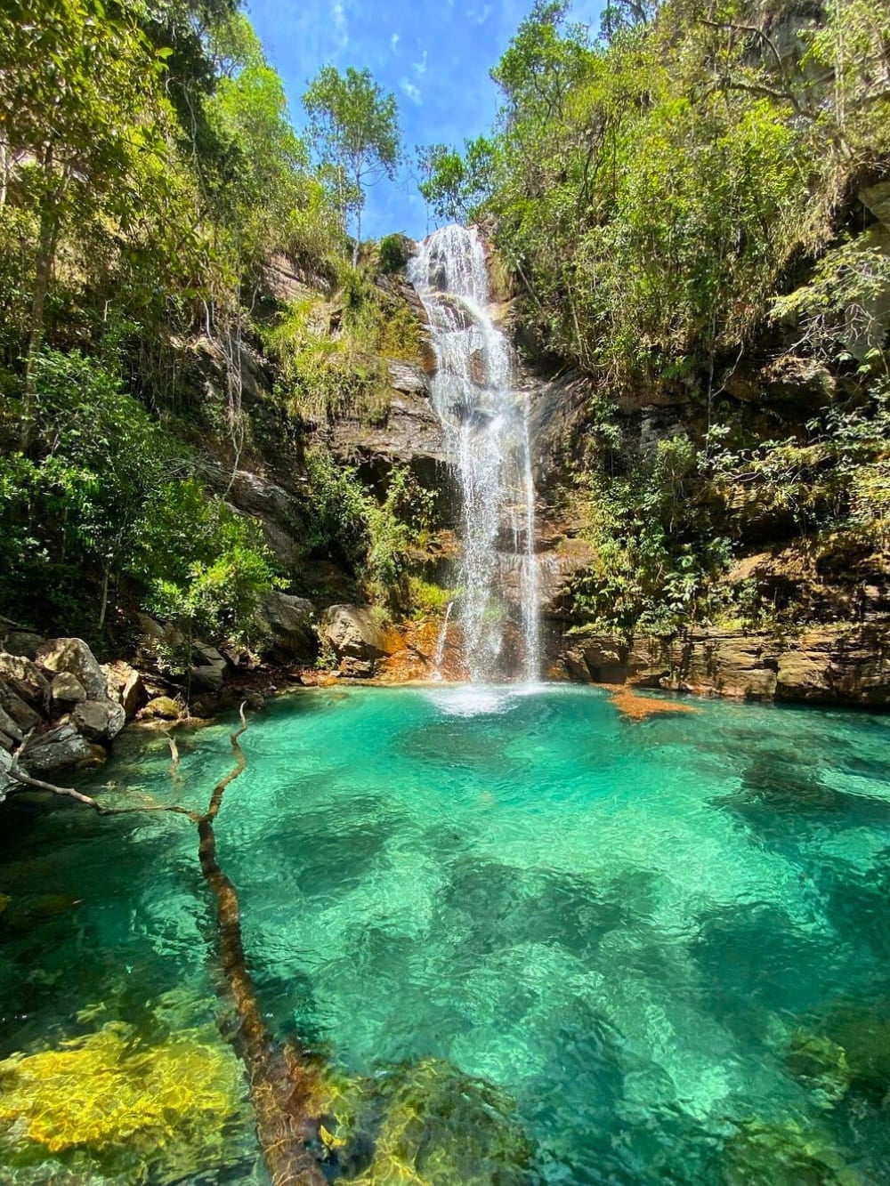 Photo: @dougcerrado Cerrado in Brazil - Chapada dos Veadeiros