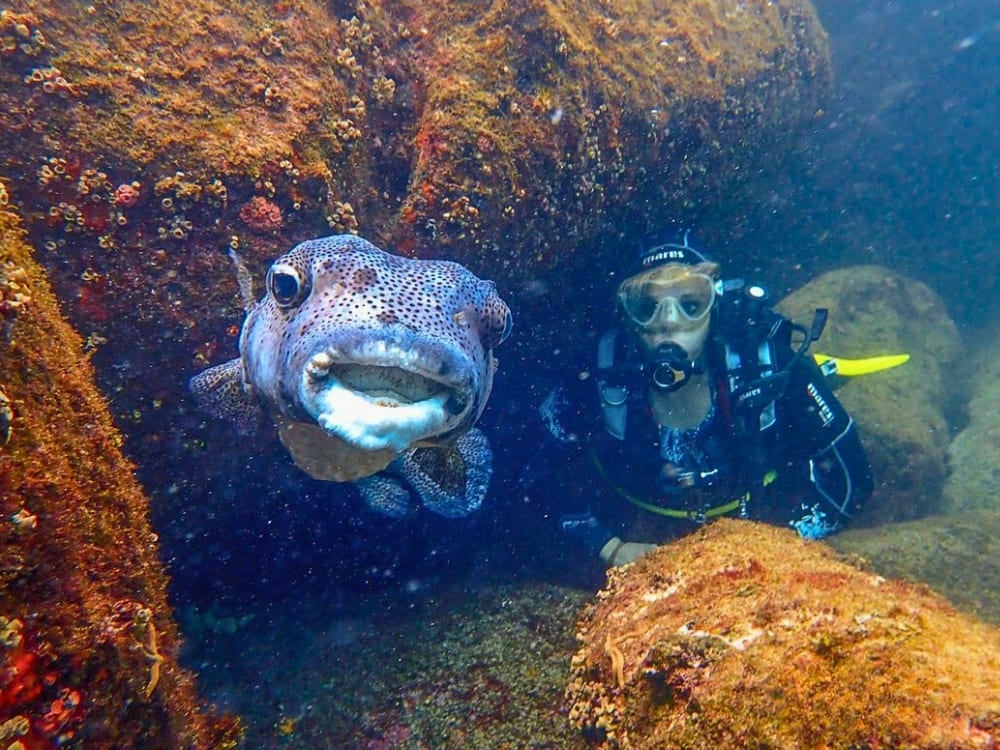 Photo: @gz_mergulho When is the Best Time to Dive in Fernando de Noronha
