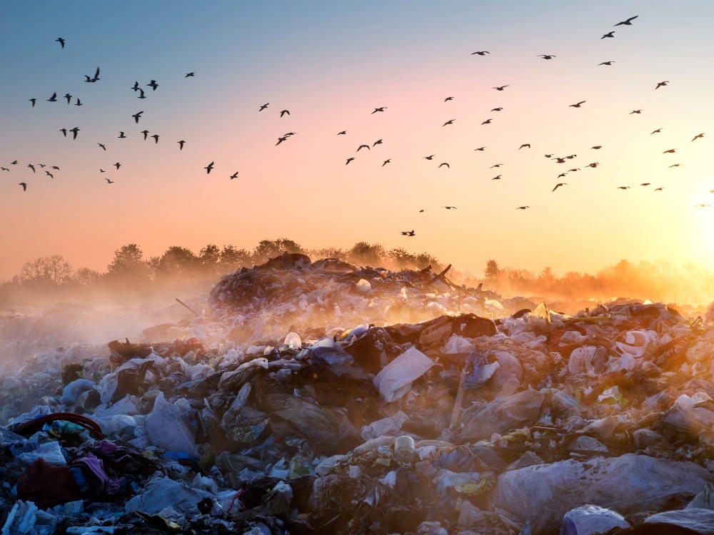Photo: Panaramka Ways to reduce plastic