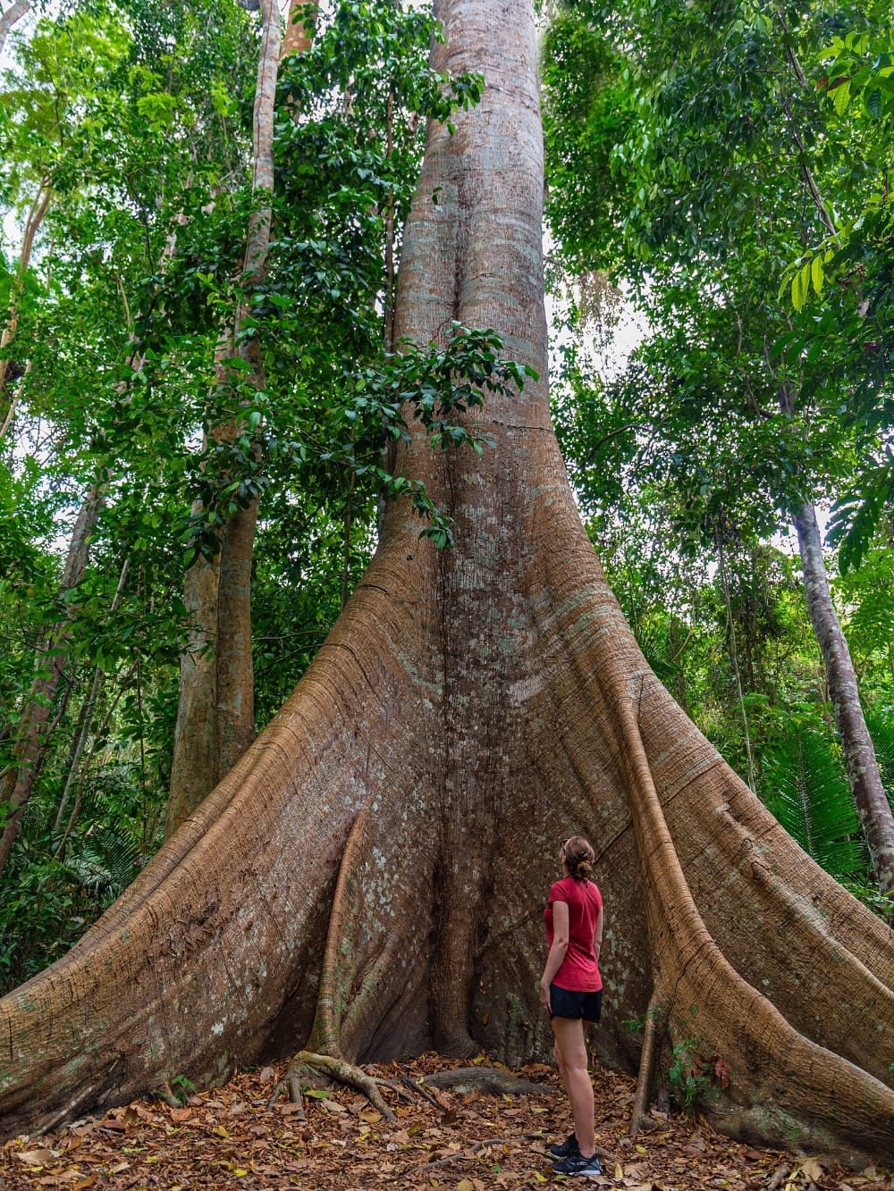 Photo: Ticiana Giehl Ecotourism Travel consciously
