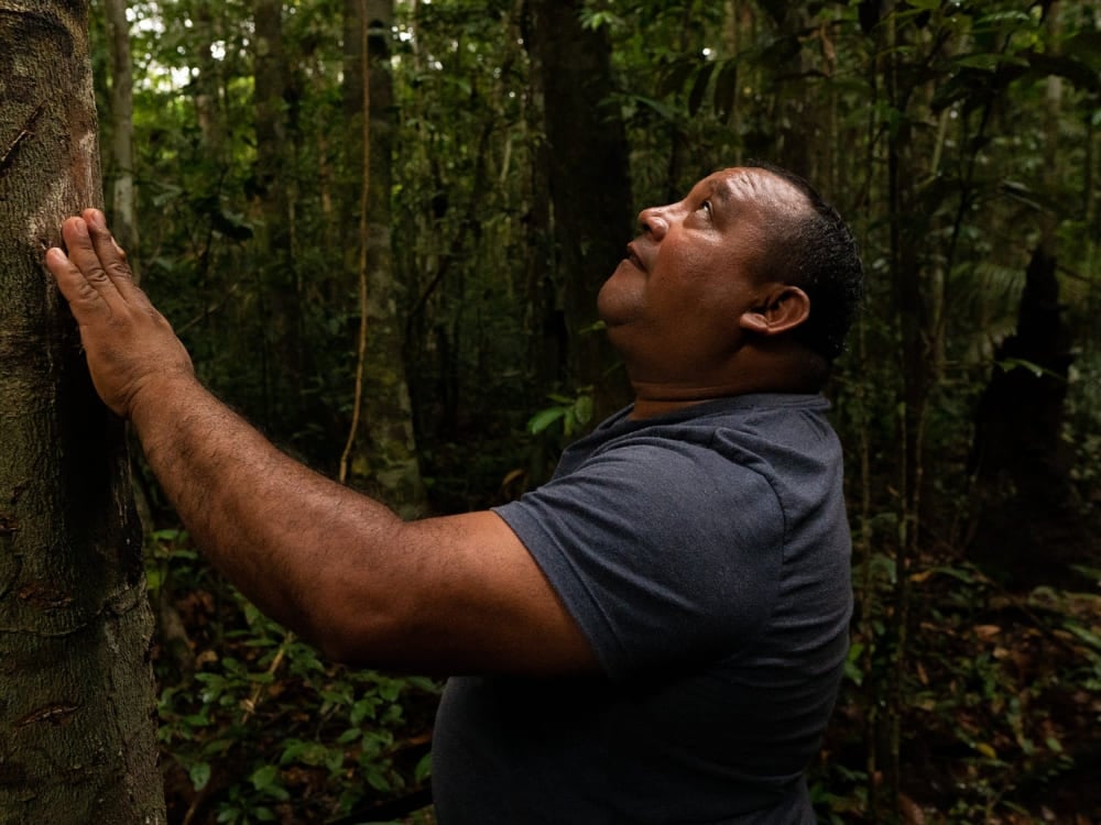 Guardians of the Amazon Rainforest - Roberto Brito Guardians of the Amazon Rainforest - Roberto Brito