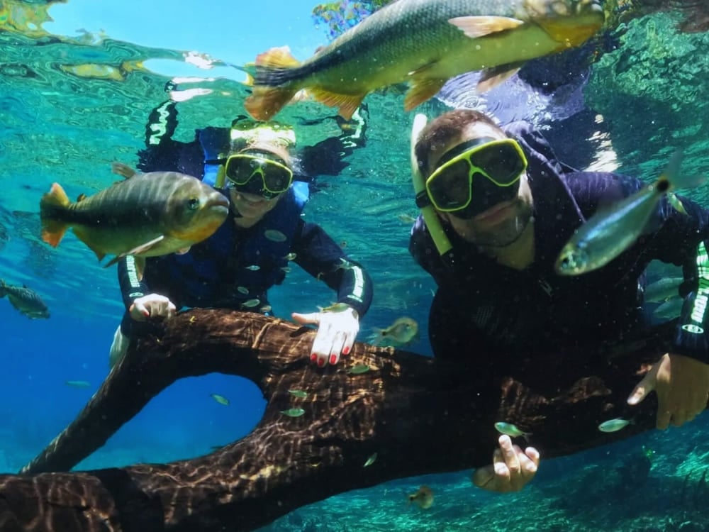 @shirleytf4 Diving in Bonito