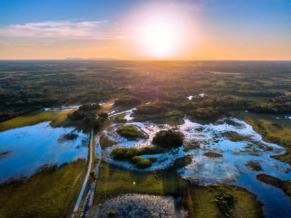 An aerial view captures the vast Pantanal wetlands and lagoons illuminated by a sunset. An aerial view captures the vast Pantanal wetlands and lagoons illuminated by a sunset.