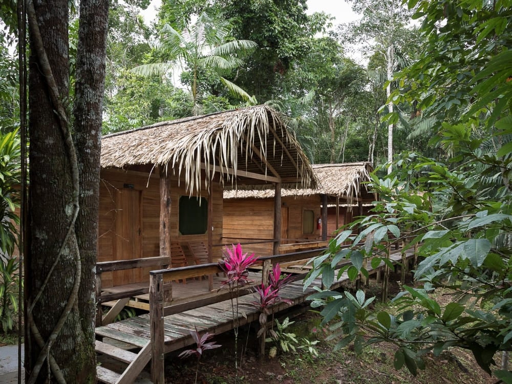 . Wooden chalets with thatched roofs connected by a walkway at Dolphin Lodge, a great Amazon rainforest hotel.