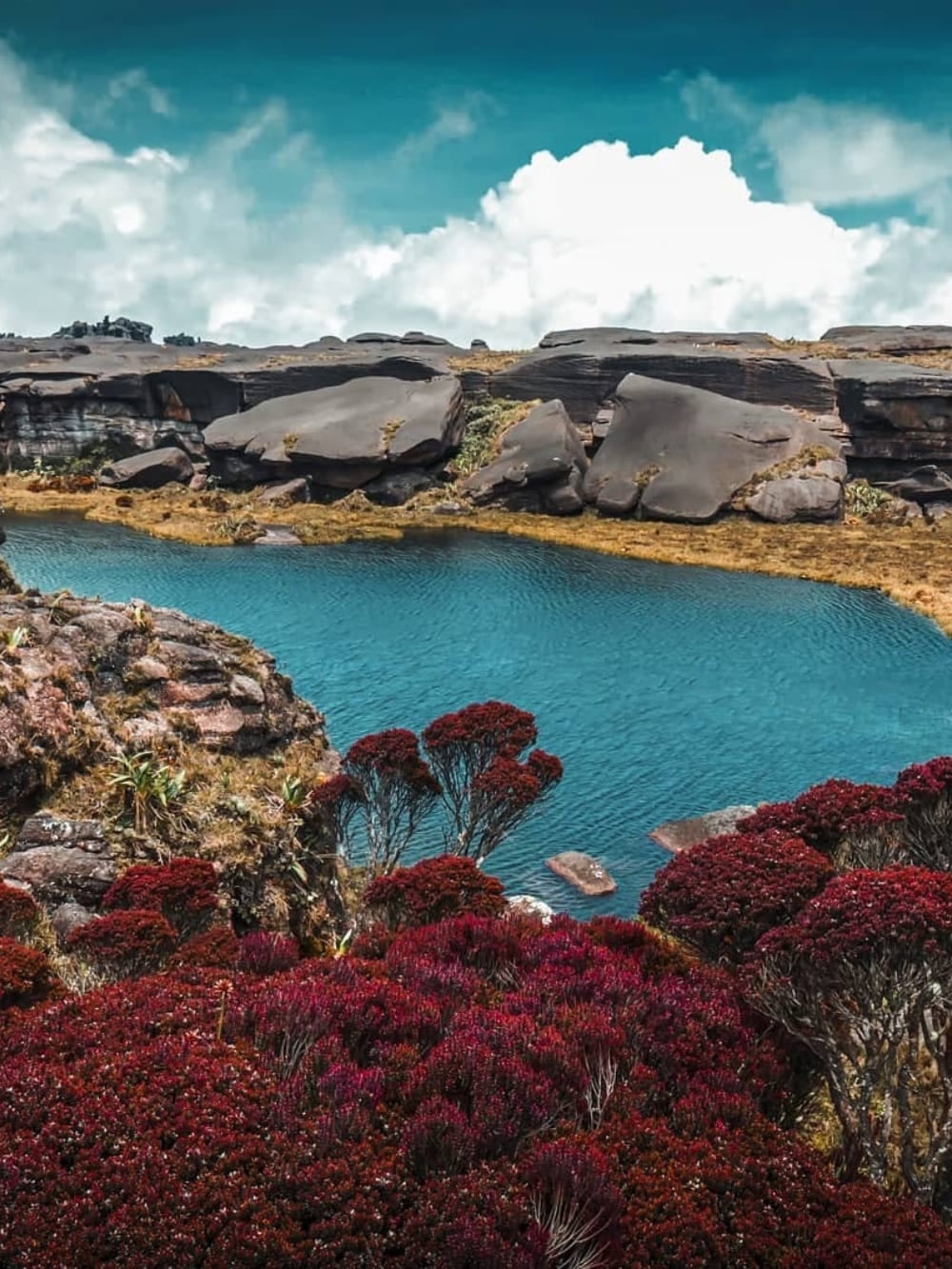 What's on top of Mount Roraima What's on top of Mount Roraima