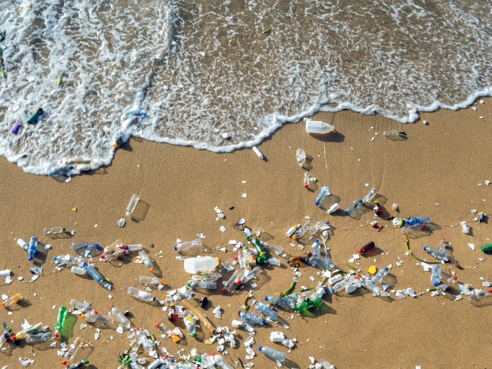 . Fernando de Noronha Plastic-free