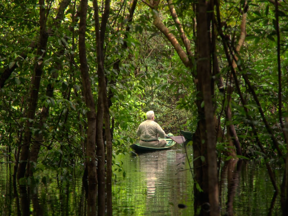 A traveler paddles a small wooden canoe through a flooded blackwater river in the Amazon. A traveler paddles a small wooden canoe through a flooded blackwater river in the Amazon.
