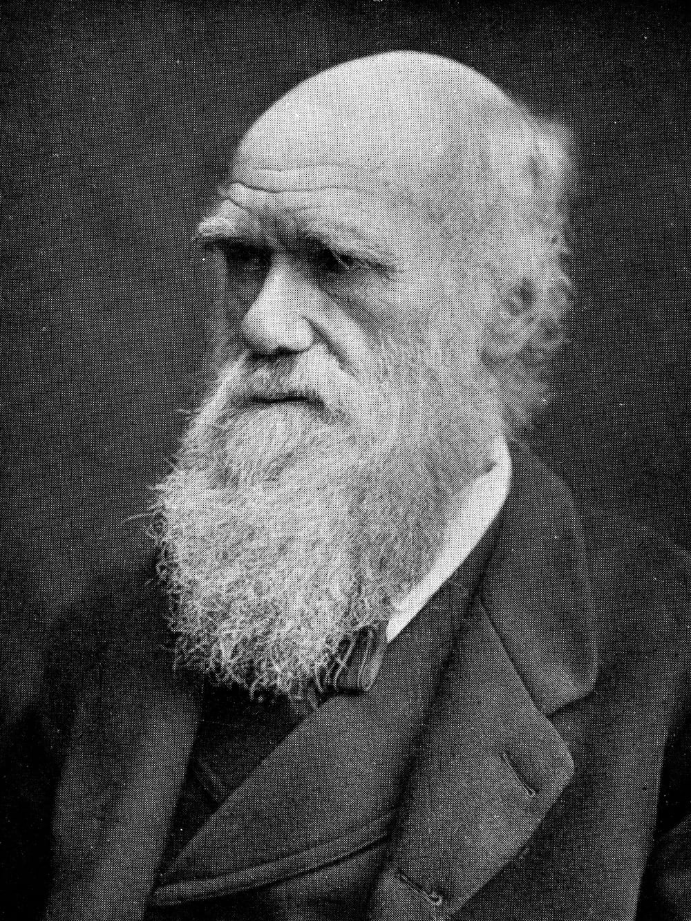 Photo: Wellcome Library, London Charles Darwin Abrolhos