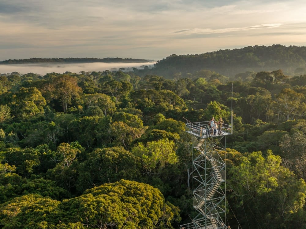 Tall metal observation tower rising above the Amazon rainforest canopy at Cristalino Jungle Lodge in Mato Grosso. Tall metal observation tower rising above the Amazon rainforest canopy at Cristalino Jungle Lodge in Mato Grosso.