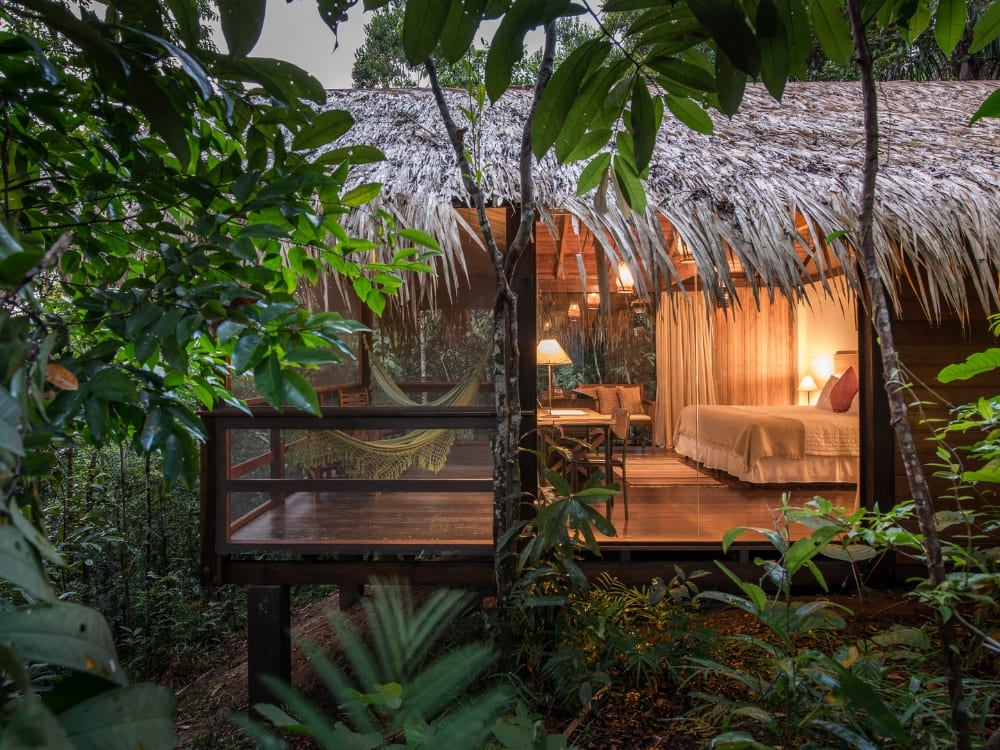 A comfortable, illuminated room in an Amazon jungle lodge with a thatched roof, surrounded by native vegetation. A comfortable, illuminated room in an Amazon jungle lodge with a thatched roof, surrounded by native vegetation.