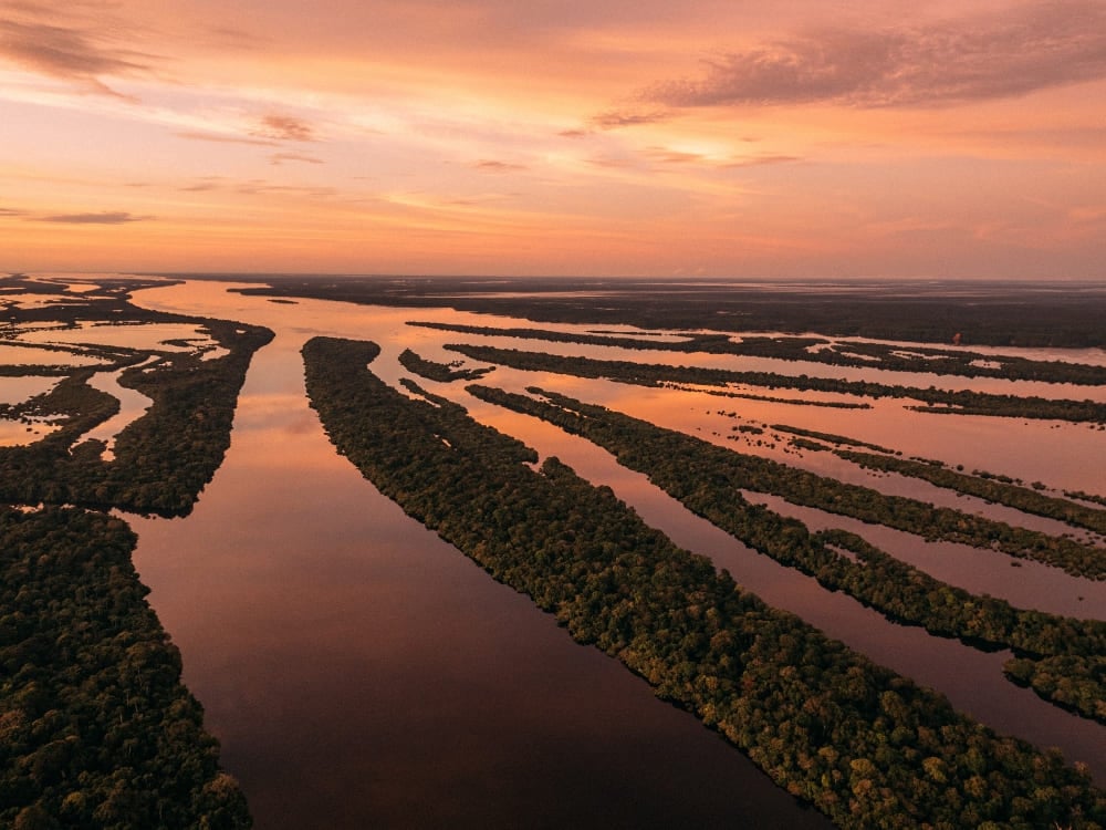 Aerial view of the labyrinthine islands and narrow channels of the Anavilhanas Archipelago on the Rio Negro. Aerial view of the labyrinthine islands and narrow channels of the Anavilhanas Archipelago on the Rio Negro.