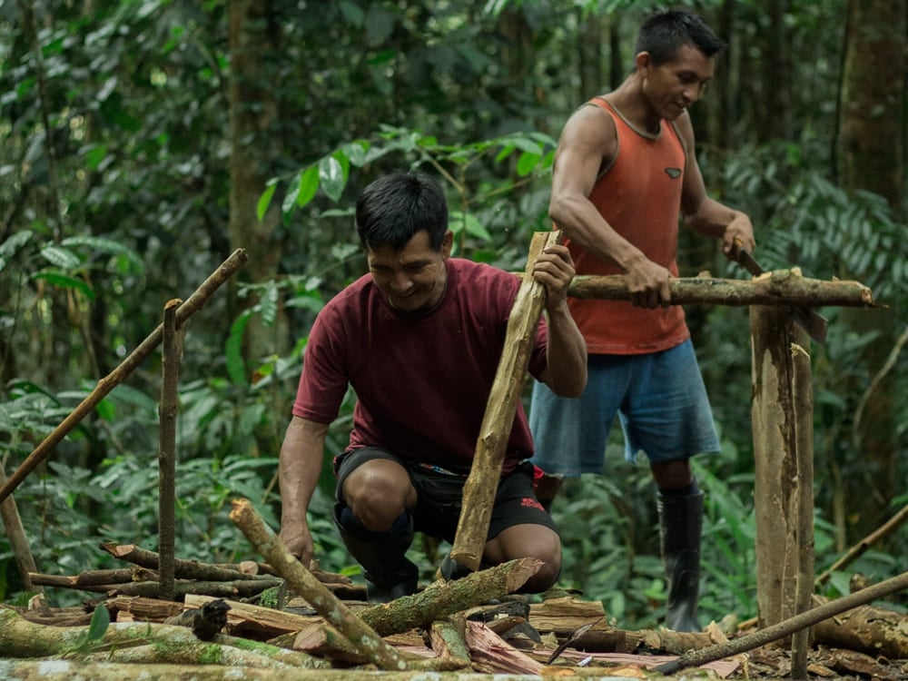 Two local guides building a wooden structure during a jungle survival tour in the Amazon. Two local guides building a wooden structure during a jungle survival tour in the Amazon.