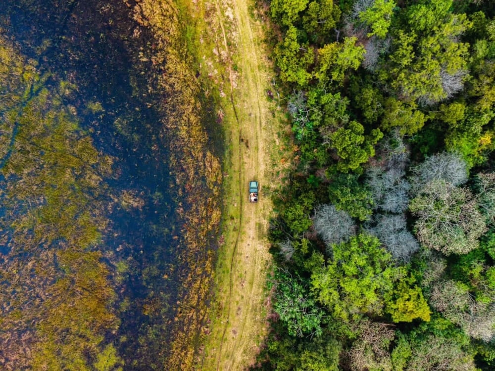 Aerial view of a safari vehicle driving on a dirt track between a wetland area and dense green forest in North Pantanal. Aerial view of a safari vehicle driving on a dirt track between a wetland area and dense green forest in North Pantanal.