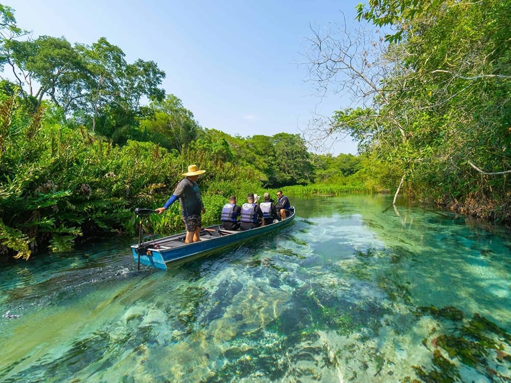 Group of tourists on a boat navigating the crystal-clear waters of a river surrounded by lush vegetation in Bonito. Group of tourists on a boat navigating the crystal-clear waters of a river surrounded by lush vegetation in Bonito.