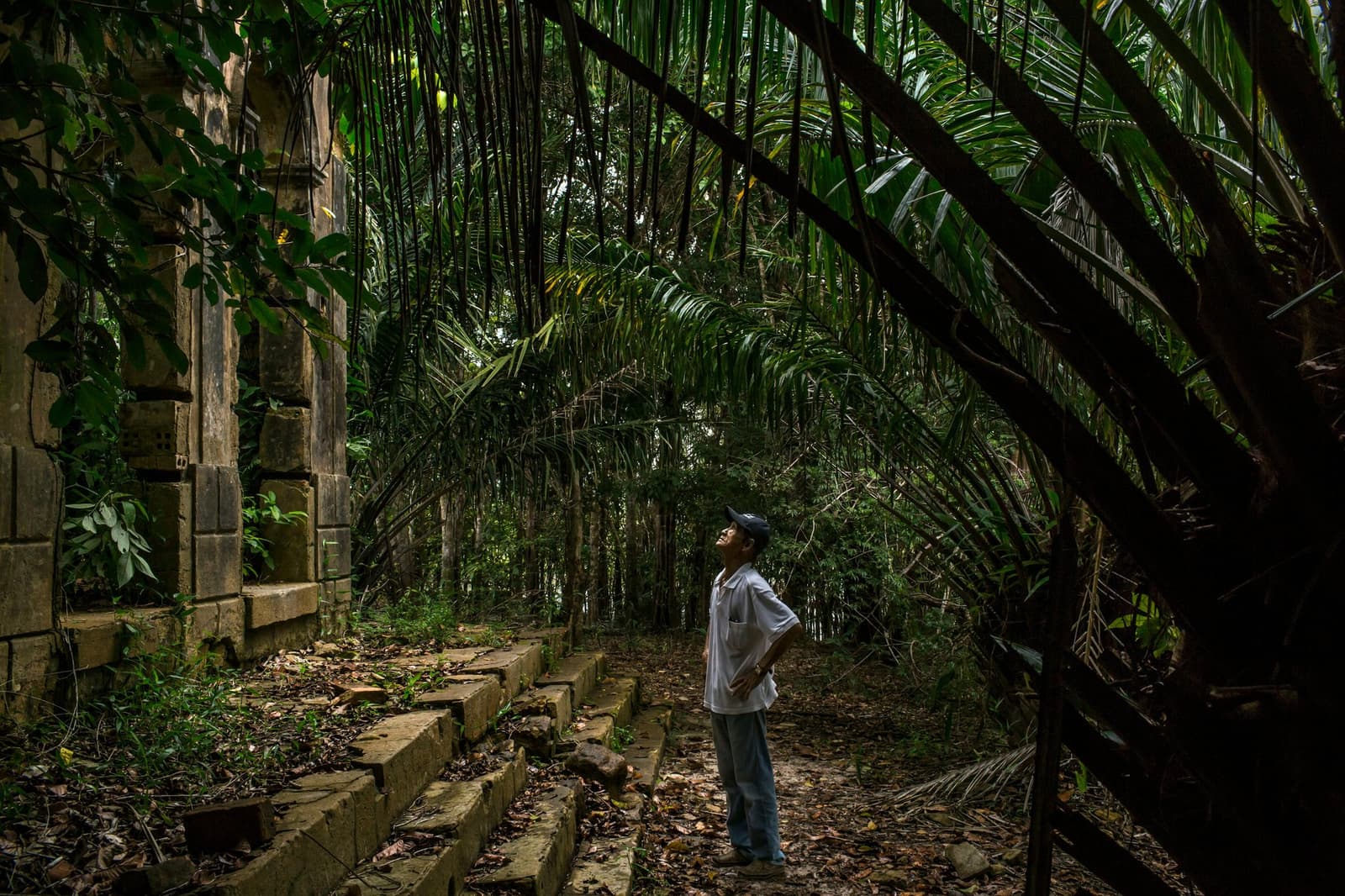 The forest has been quietly reclaiming this place for a long time. A man in a white shirt and cap looks up at tall palms arching over the mossy stone ruins of Airão Velho, surrounded by dense Amazon rainforest on an Amazon cruise trip in Brazil