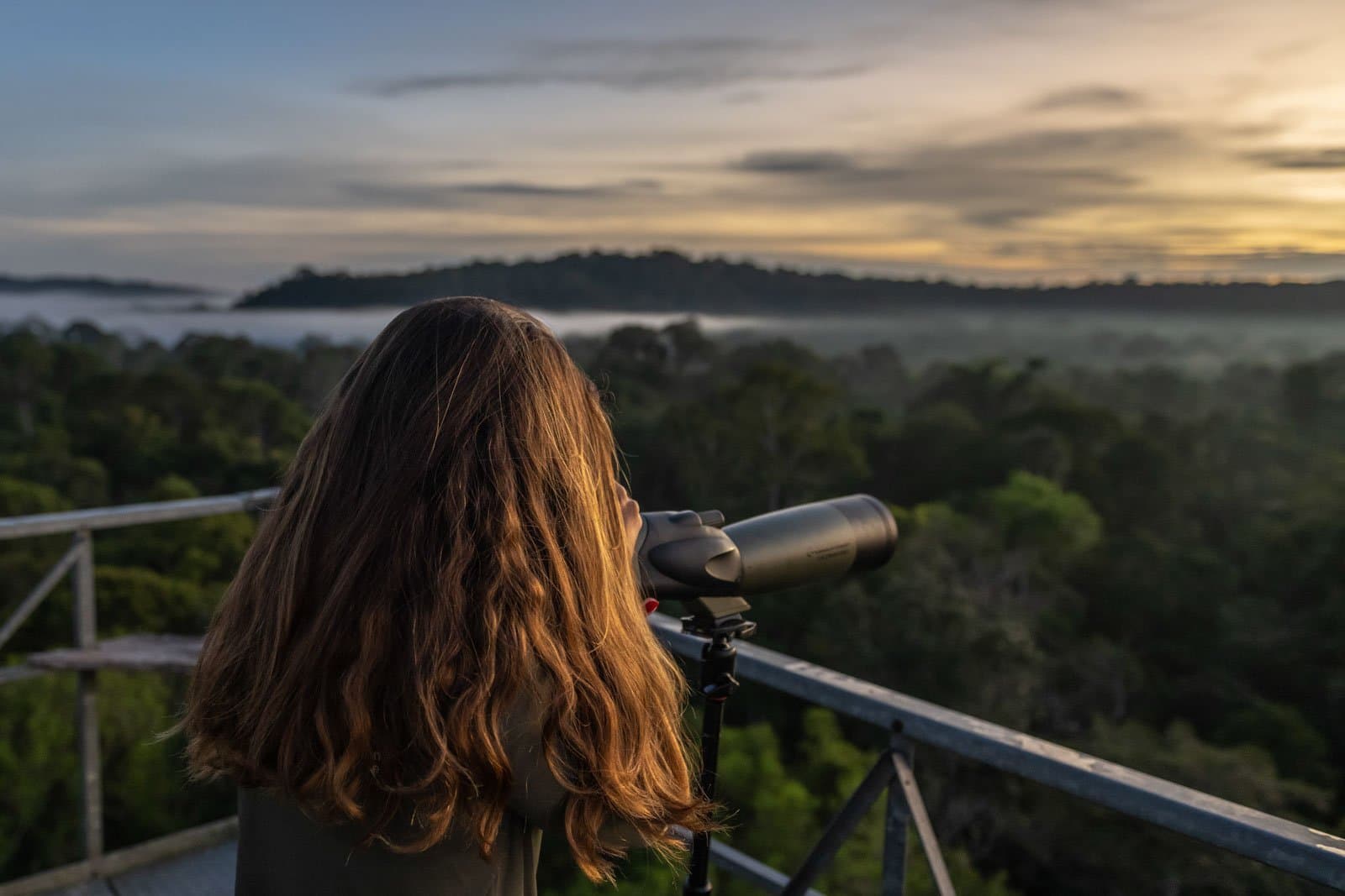 First light, coffee still warm, and something just moved in the canopy. Photo: Andre Dib A woman looks through a spotting scope on a canopy observation tower at dawn, with mist drifting over an Amazon rainforest canopy and a warm golden sky on the horizon — a classic moment of birdwatching in the Amazon rainforest.