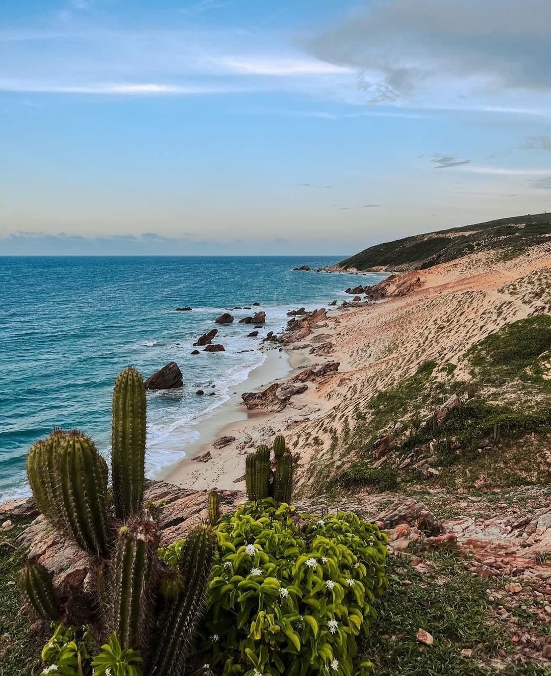 Cacti at the cliff's edge, sea stretching out beyond, northeast Brazil plays by its own rules. Photo 1