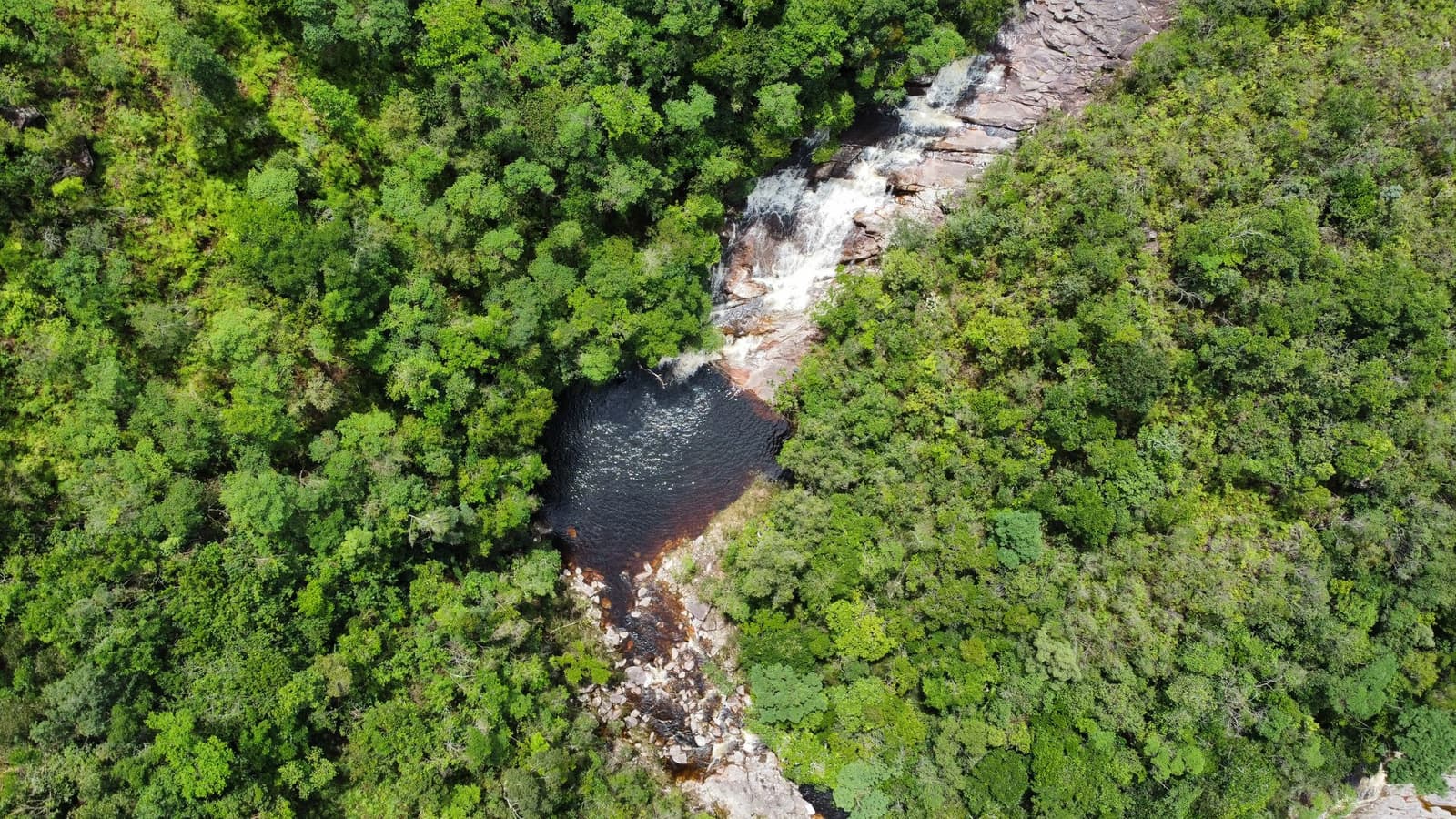 A pool this hidden deserves every step it took to earn it. Aerial view of a cascading waterfall dropping into a dark tannin-stained natural pool tucked inside dense green forest on the Chapada Diamantina trek