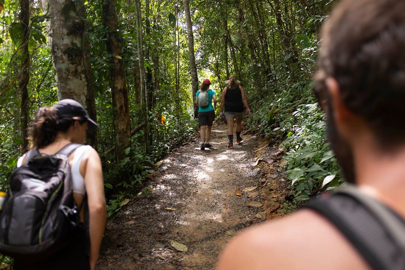 Boots on the ground, bikes resting somewhere behind you, the forest has its own pace. A small group of hikers with backpacks walking along a narrow dirt trail through dense Atlantic Forest on the cycling Bahia Cocoa Route near Itacaré