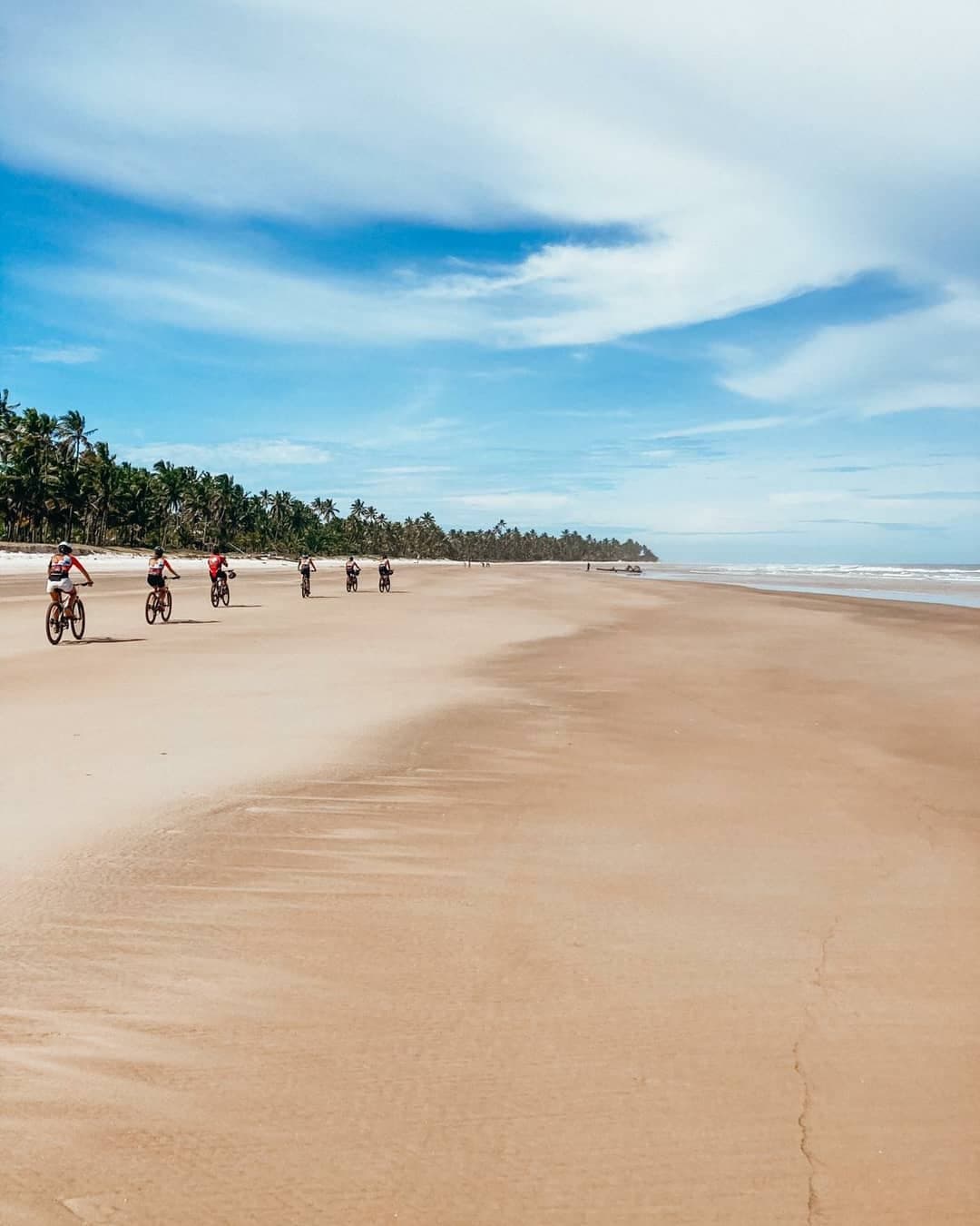 Firm sand, open coast, and a whole lot of beach still ahead. A group of six cyclists riding along a wide, flat sandy beach on the cycling Bahia cocoa route, with a dense line of palm trees to the left and the Atlantic stretching to the right under a partly cloudy blue sky