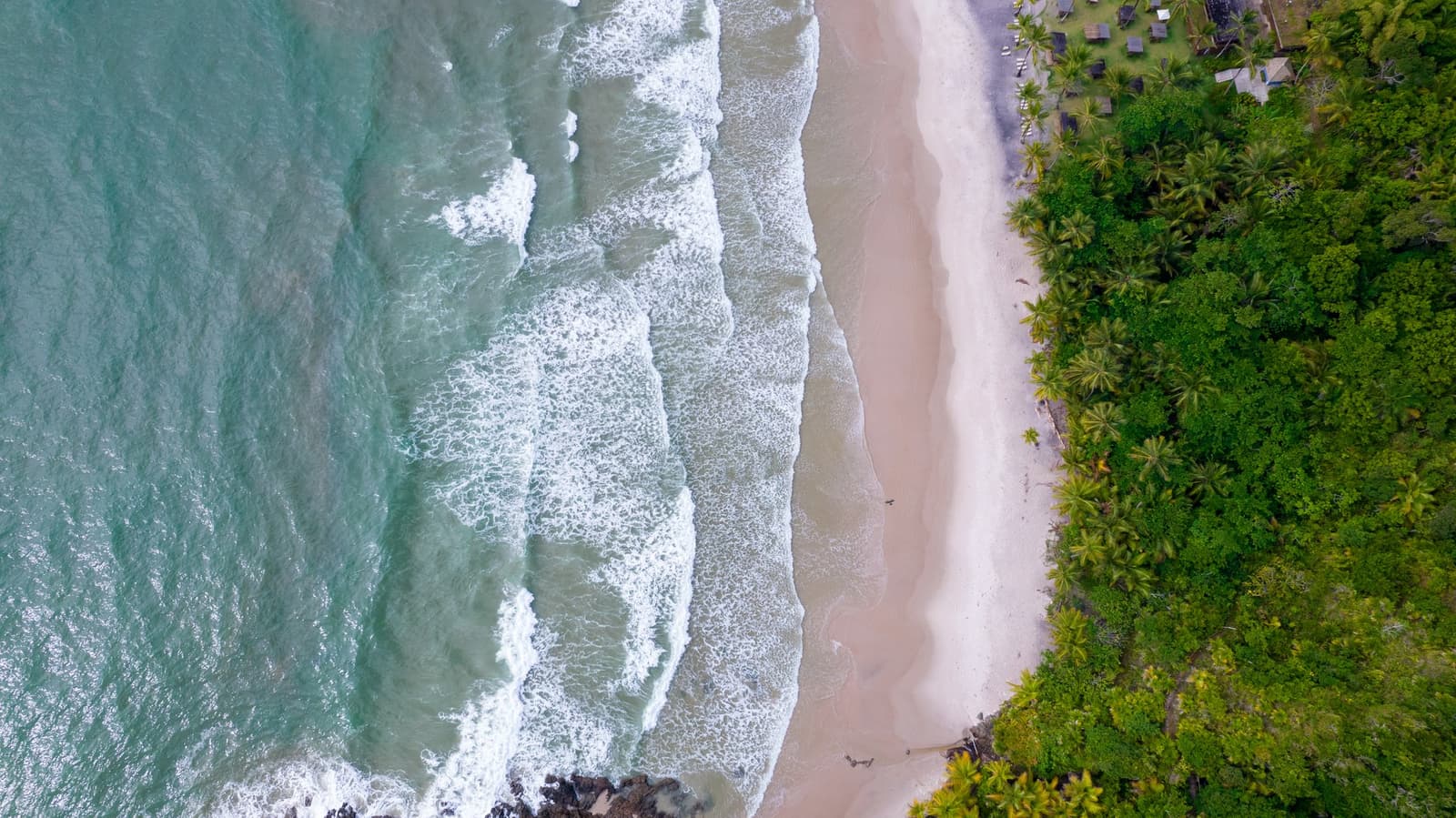 Forty kilometres in the legs, and this is what waits at the end. Photo: Pedro Truffi Aerial view of a white-sand beach on the cycling Bahia route, with turquoise waves rolling in from the left and dense Atlantic Forest palm canopy lining the right shore, a small lodge visible through the treetops